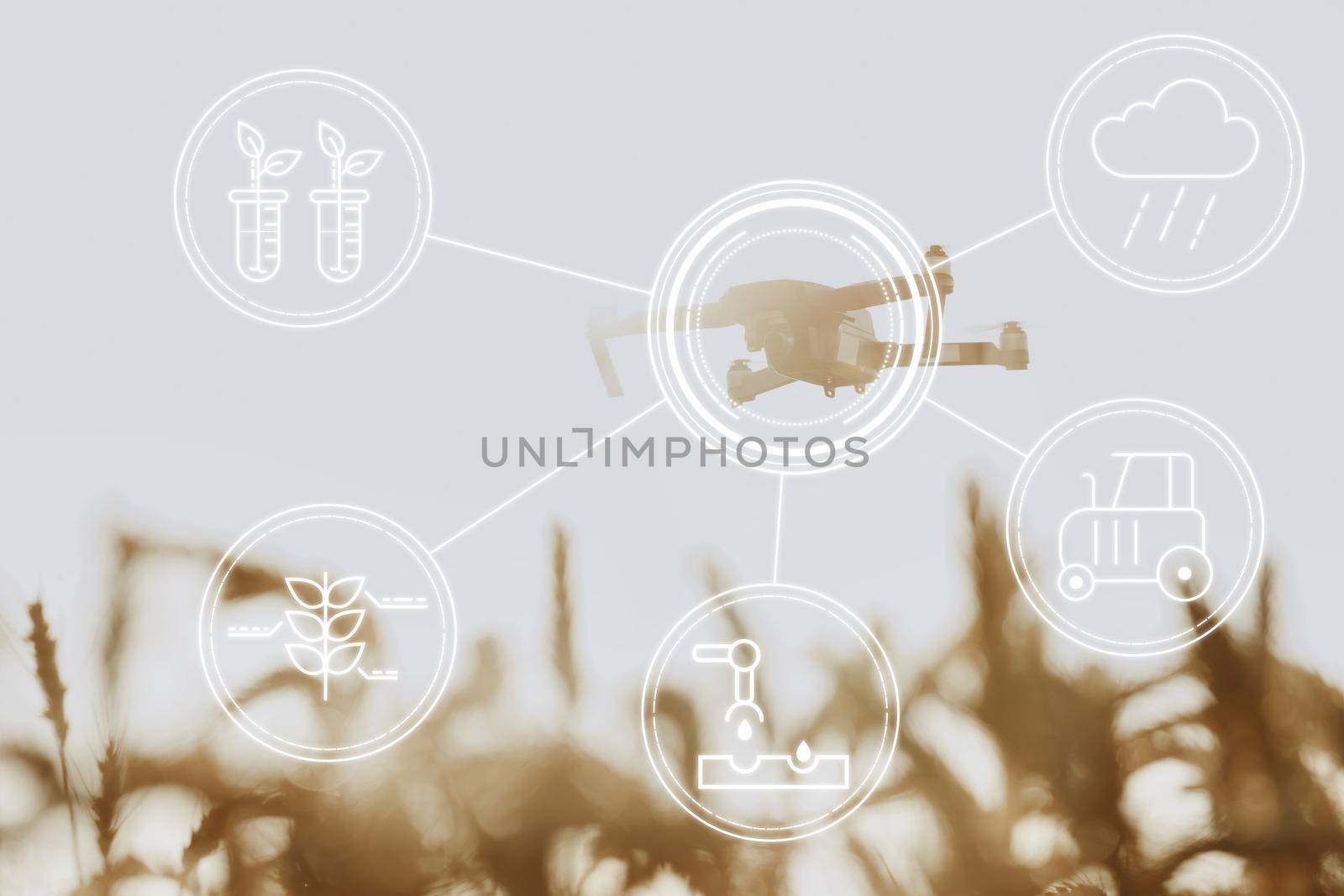 Flying drone above wheat field. Agricultural and technology innovations concept by Fabrikasimf