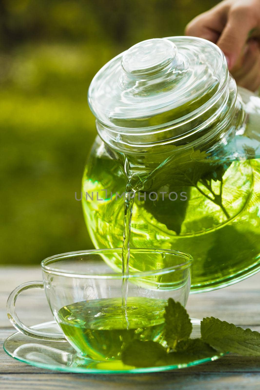 Herbal tea with melissa in a glass cup and teapot