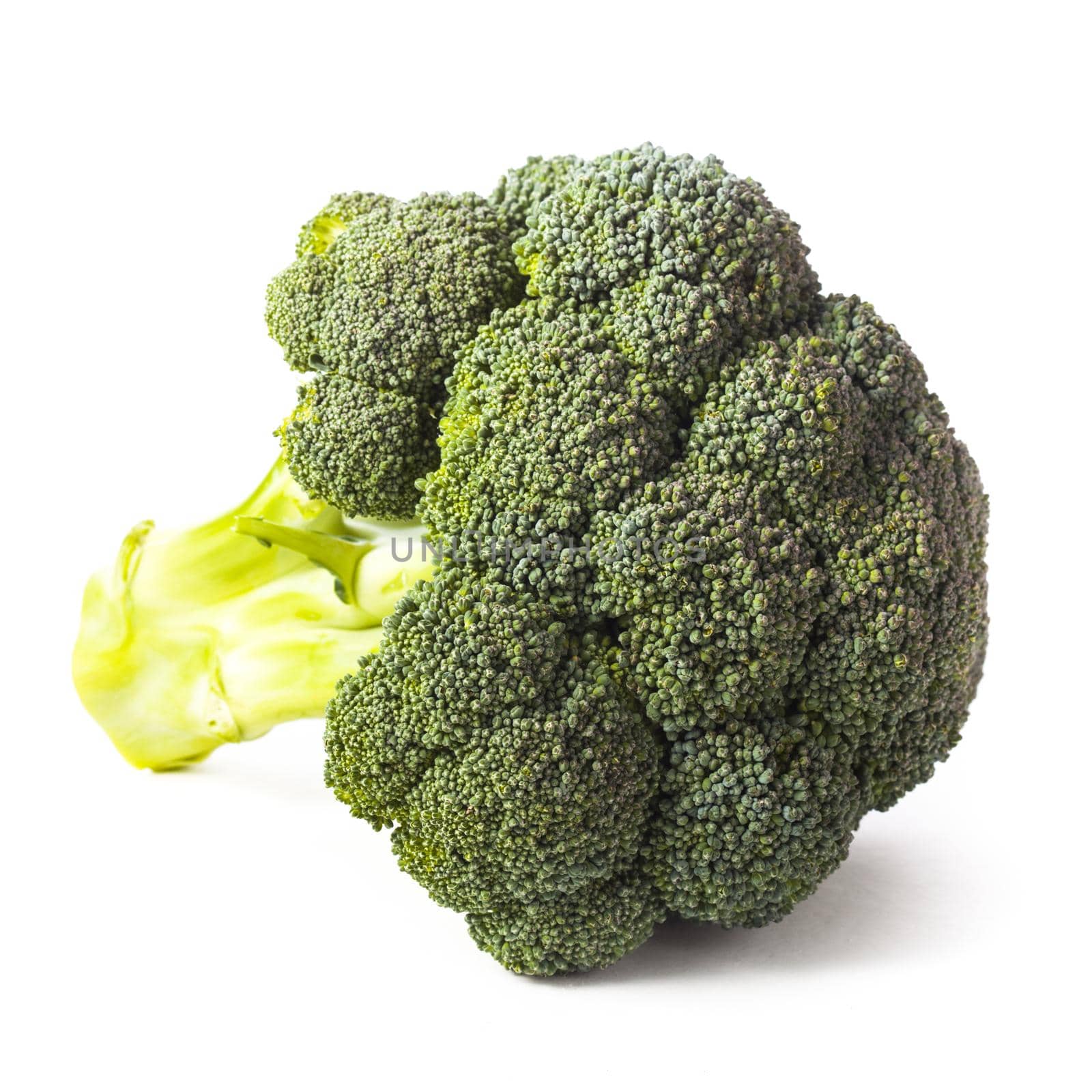 Green broccoli isolated by oksix