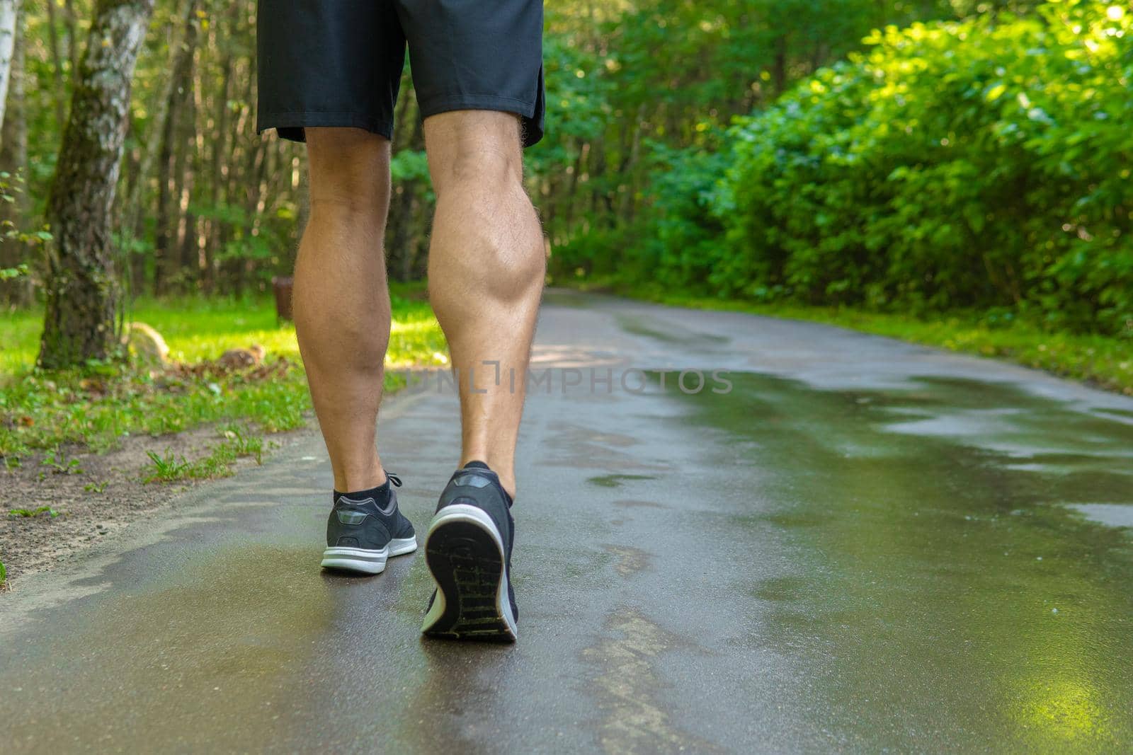 Legs in sneakers close up athlete runs in the park outdoors, around the forest, oak trees green grass young enduring athletic athlete sport forest, fitness outdoor fit legs male, park man. Adult leisure running, distance stretches