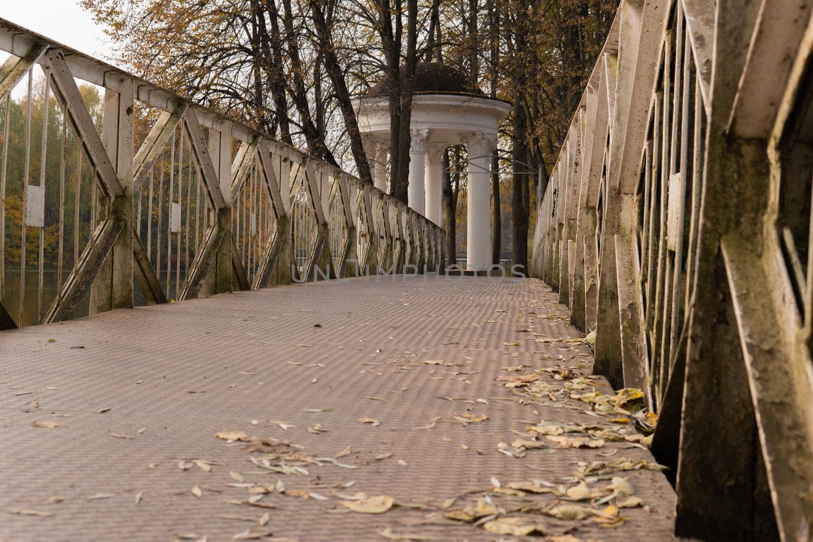 Bridge park colorful natural yellow, landscape leaves european bright, love. Parkway palace, rural vibrant