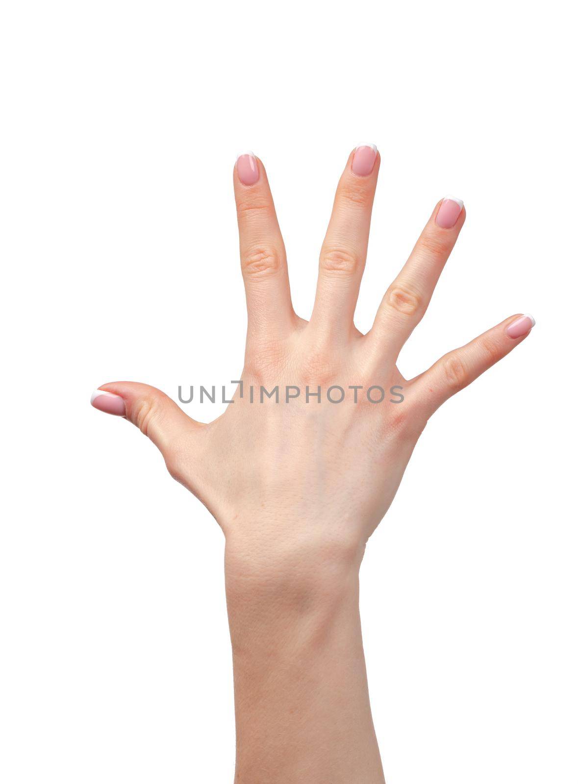 Female palm raised up isolated on white background, copy space