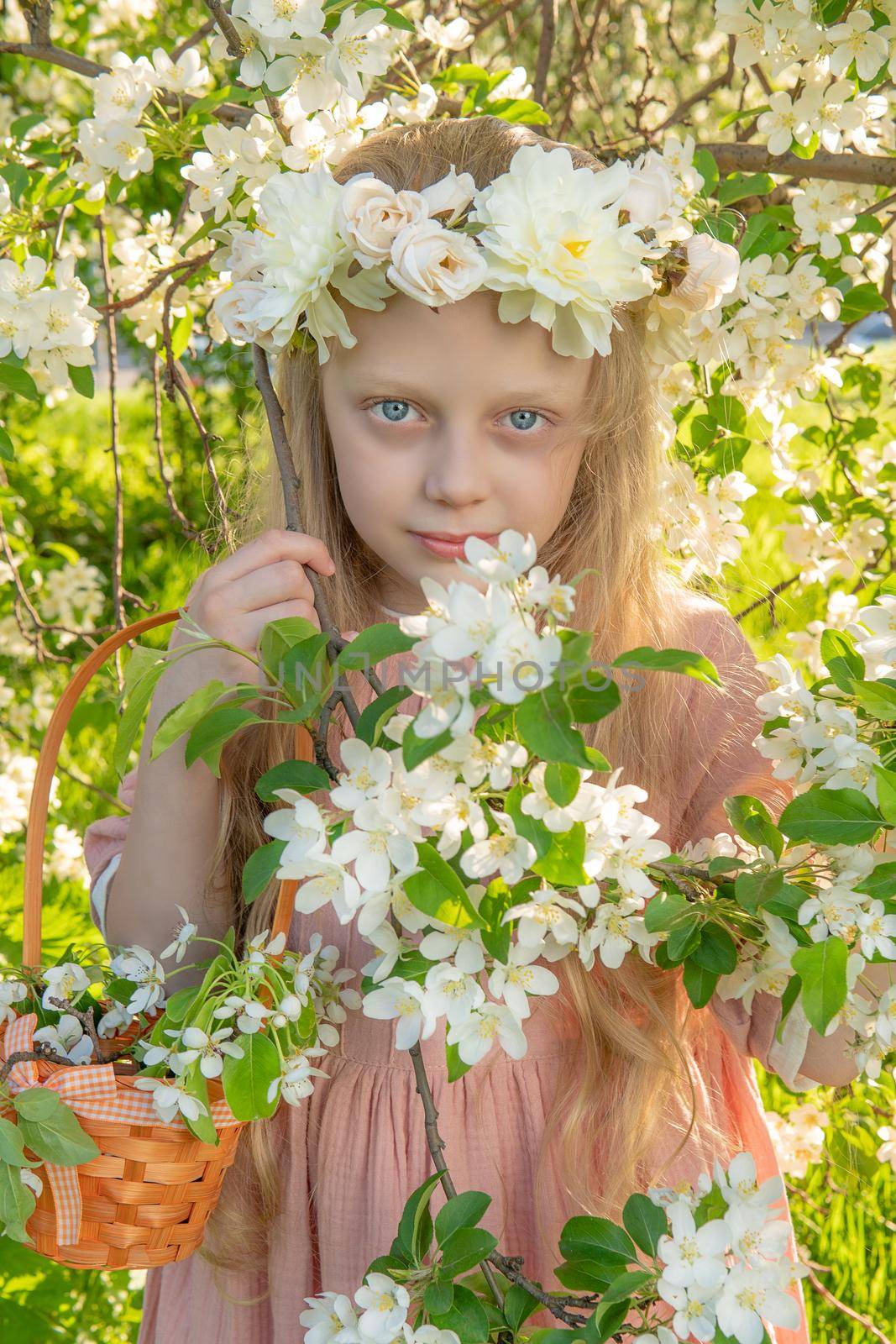 A girl sniffs a beautiful white apple tree, spring in the midst of the flowering of the apple tree is beautiful garden in hair, park people nature beauty tree, model blossom. blooming cute woman meadow makeup fresh by 89167702191