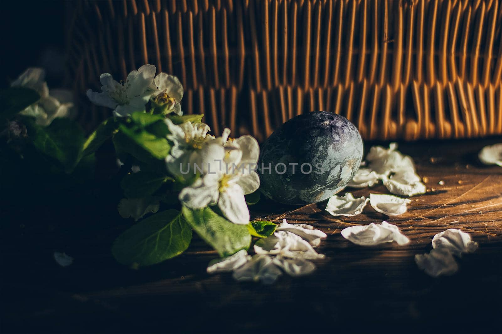 Easter eggs on rustic wooden background with apple blossom branch