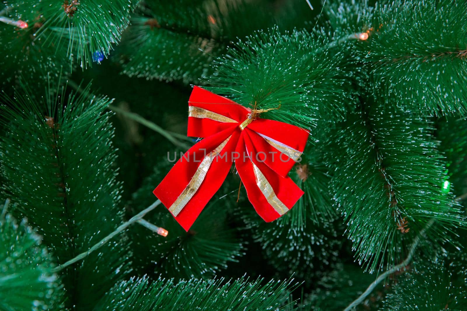 a lot of green branches of pine trees in the pine forest in Sunny summer day's close, amid the tall trees . Christmas tree and gifts in the background . Bow tree by Adil_Celebiyev_Stok_Photo