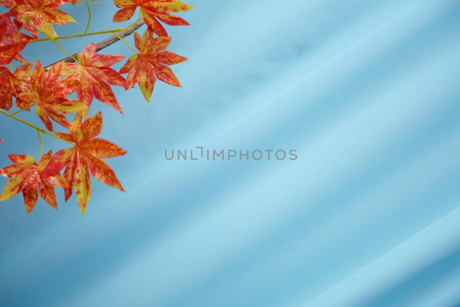 Close up of the red and orange plastic artificial leaves on tree branches with blur and bokeh background decorating on the autumn festival event in outdoor park as autumn background.Selective focus.