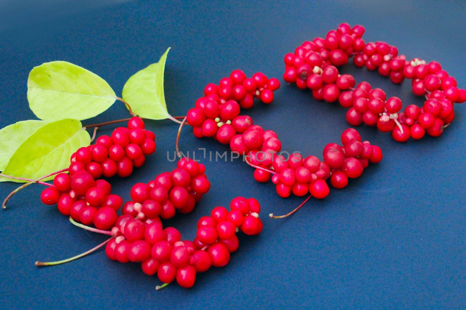 word Eco from red ripe berries of schisandra by alexmak