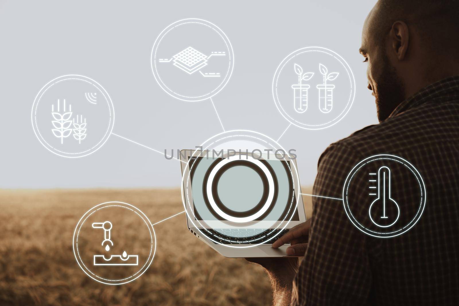 Young man using laptop in wheat field close up, agricultural concept