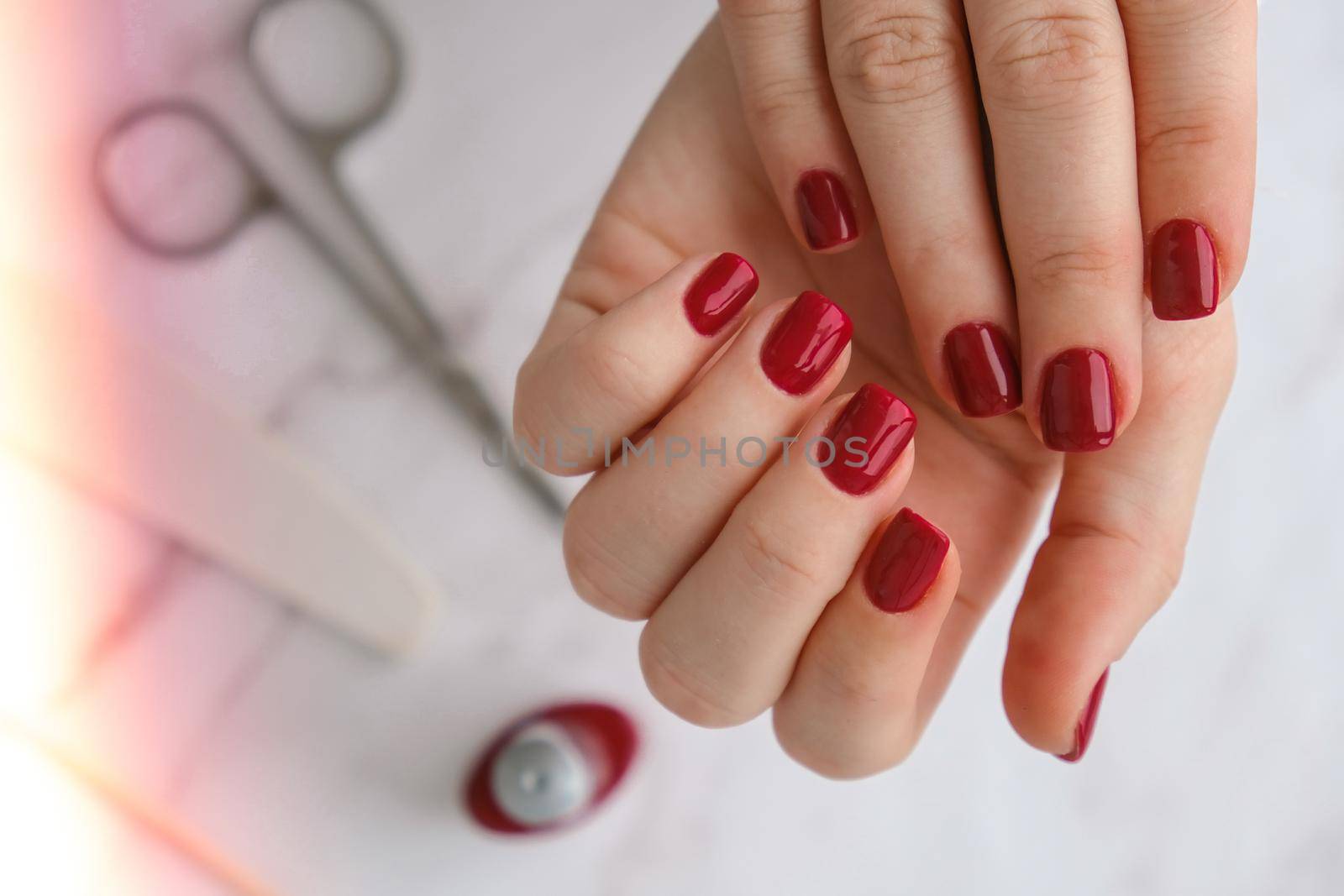 Stylish red female nails. Modern Beautiful manicure. Autumn winter nail design concept of beauty treatment. Gel nails. Skin care. Wellness. Trendy colors.