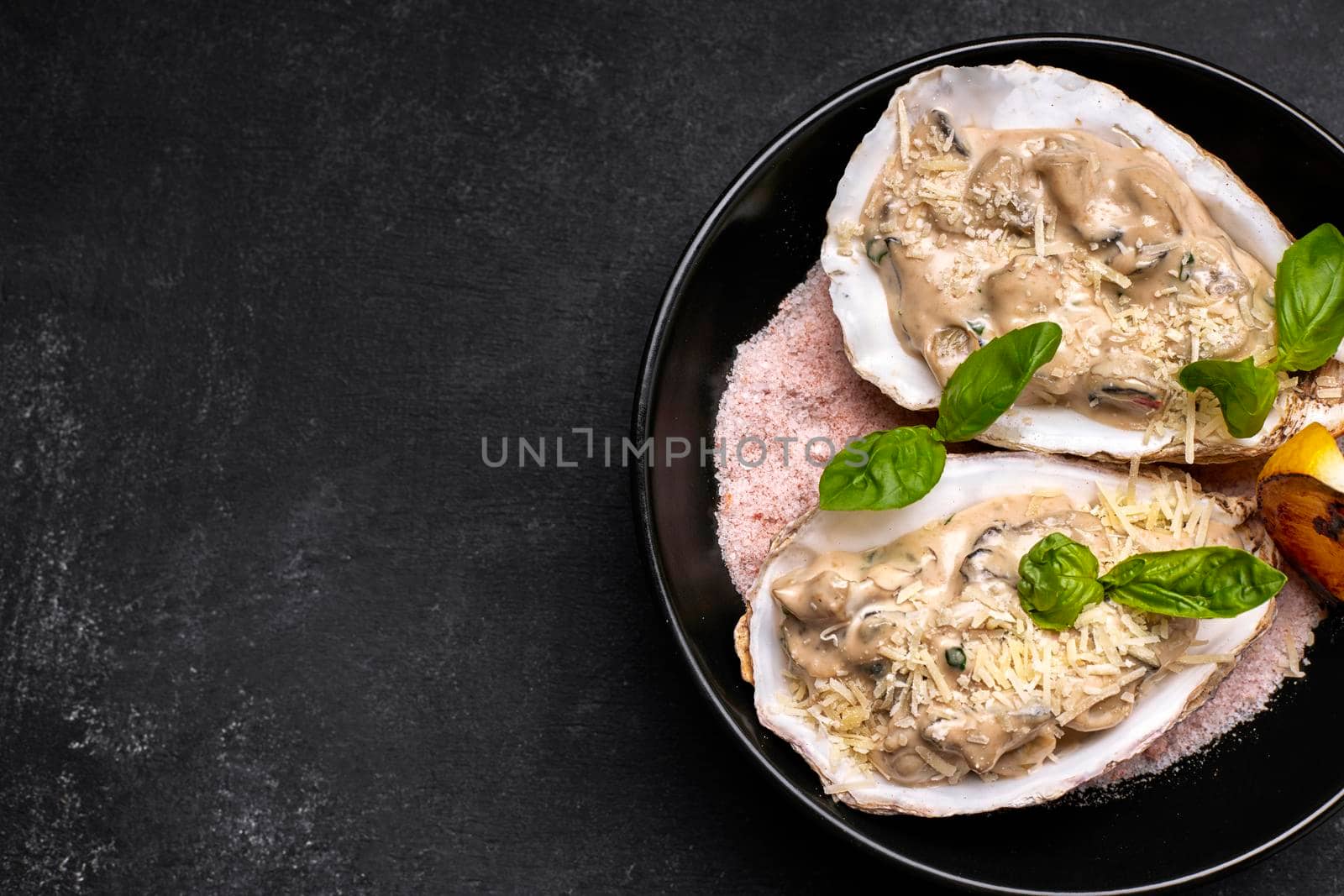 Rapana in a creamy cheese sauce in a shell, on a plate, on a dark background