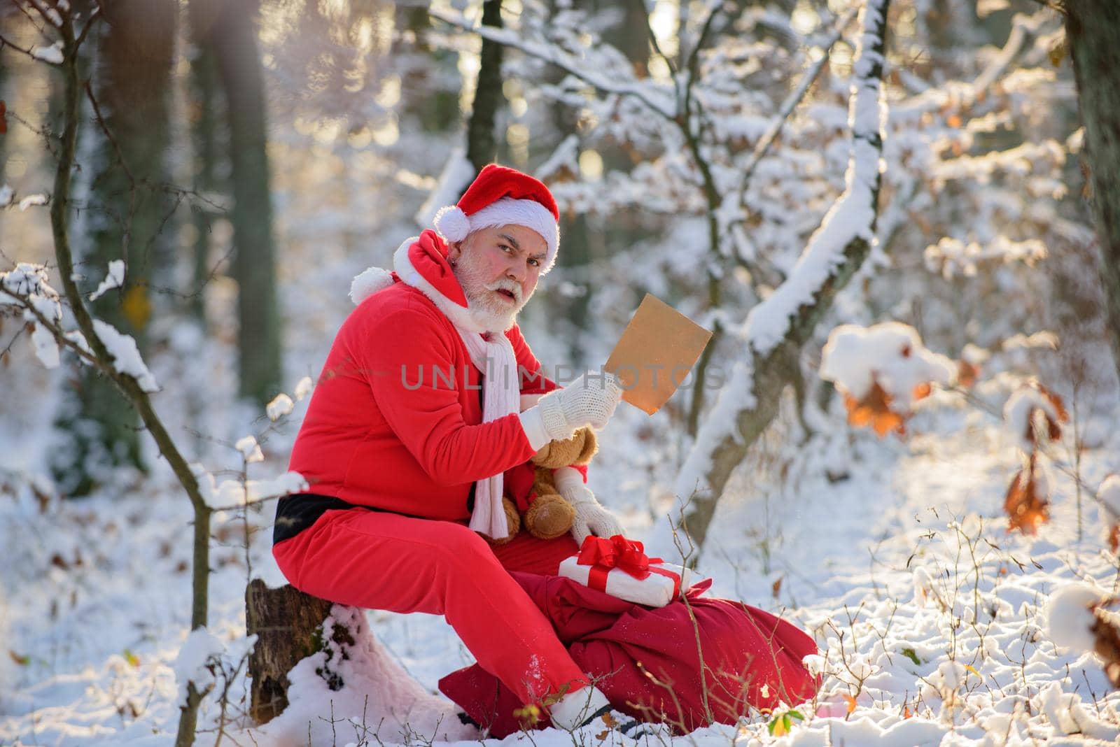 Santa Claus read Christmas wish list in the snow forest