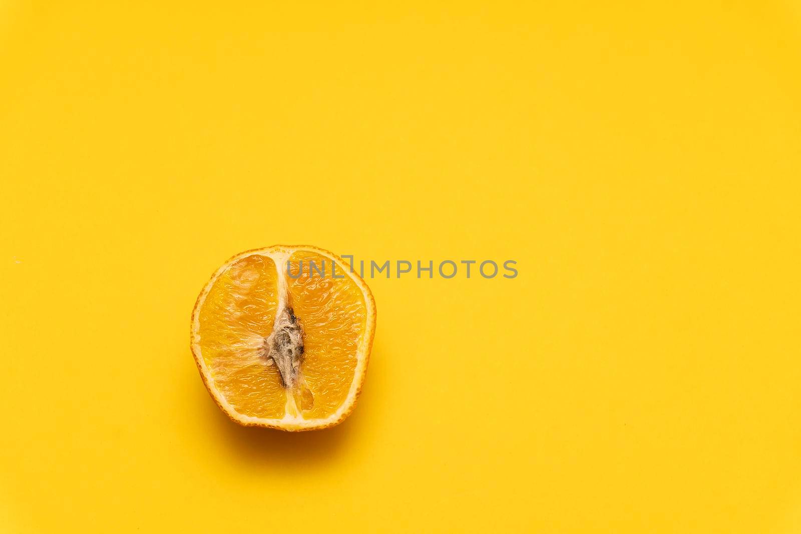 Closeup at the moldy dried orange tangerine on yellow background, spoiled product, not edible, copy space, view from the top.