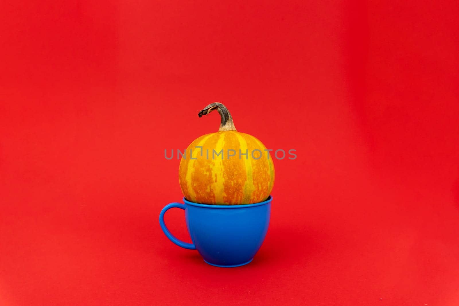 Small pumpkin in a plastic blue mug by uveita