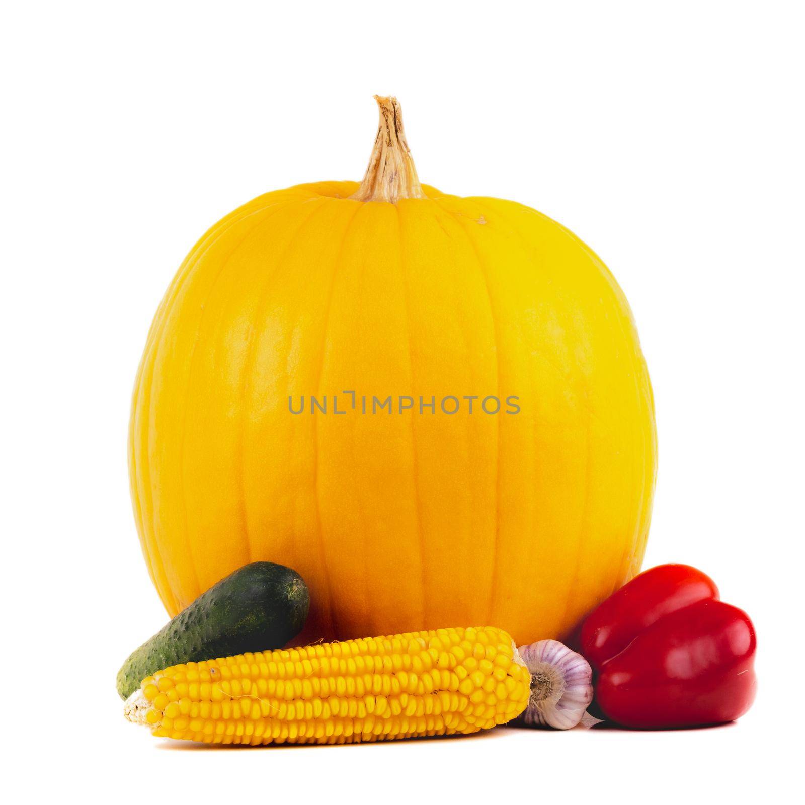 Pumpkin and Vegetables for cooking. On white background. Thanksgiving day concept.