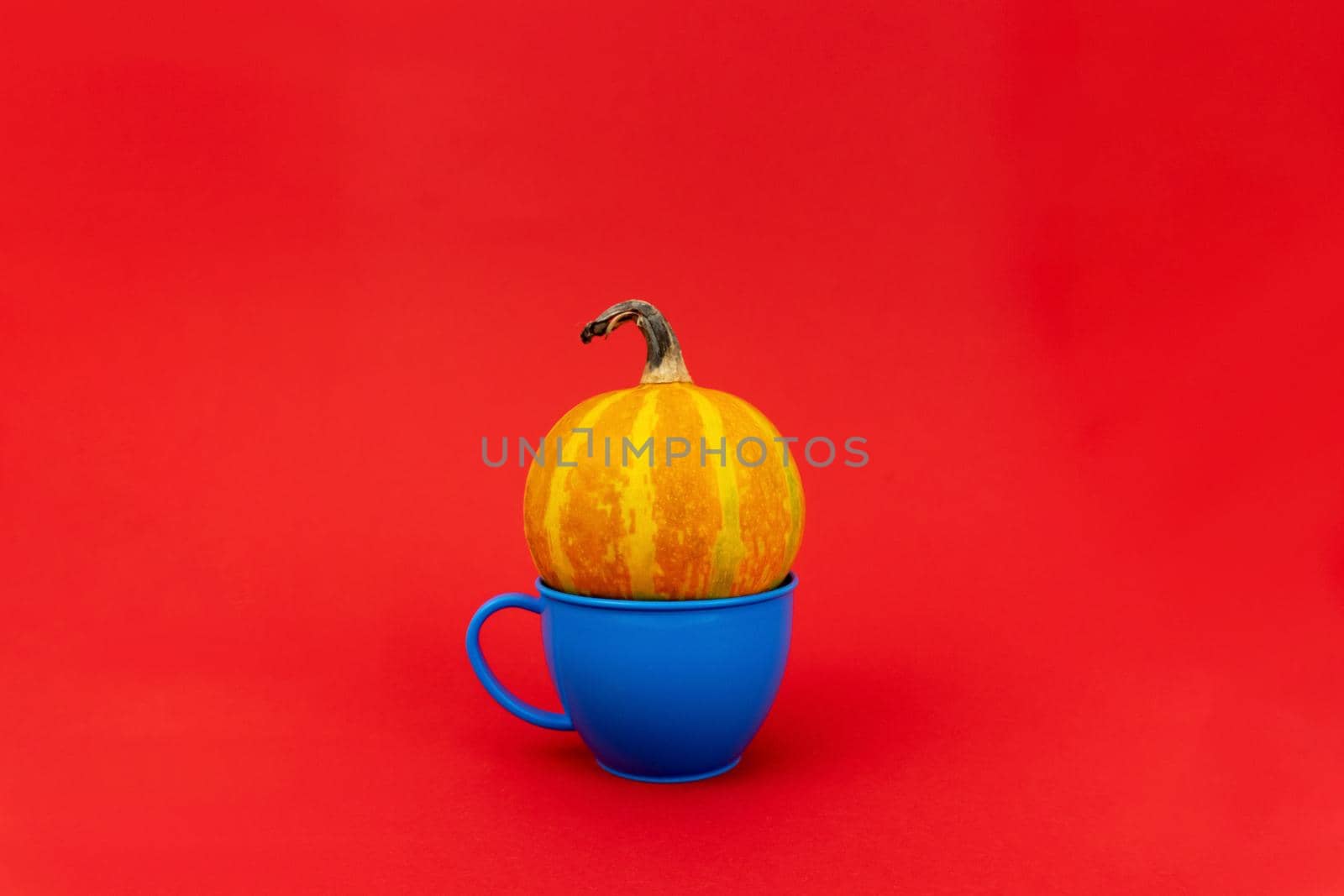 Small pumpkin in a plastic blue mug by uveita