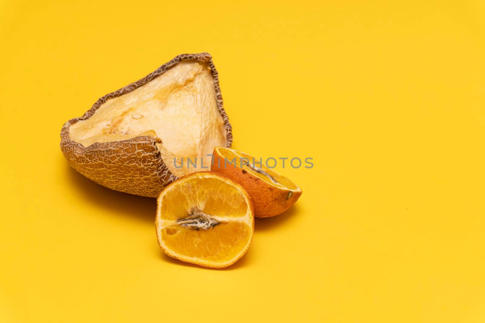 Creative composition with moldy dried yellow melon and orange tangerines, yellow background, copy space, closeup of sloiled product, not edible