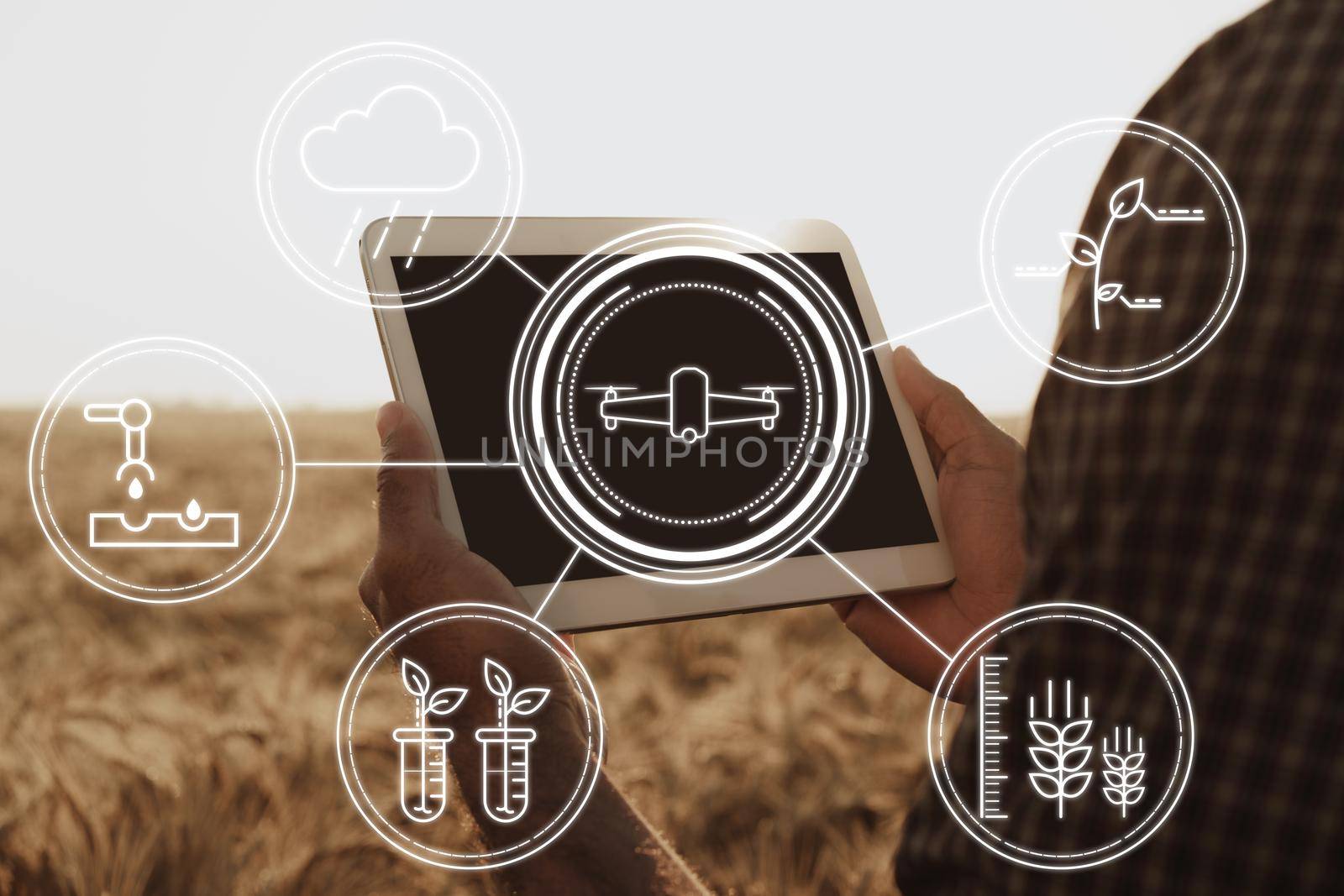 Farmer standing with digital tablet in a wheat field using modern technologies in agriculture, close up