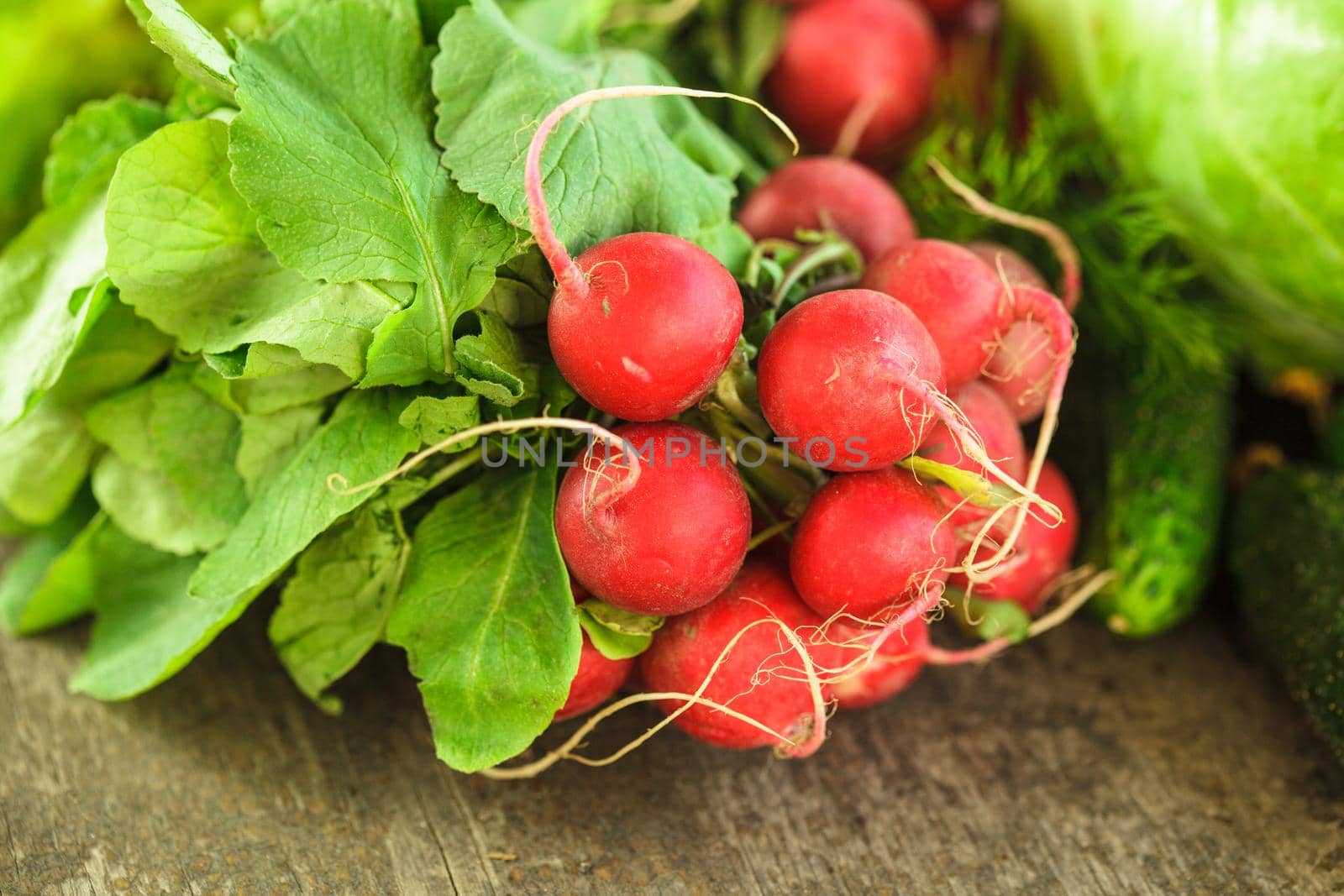 Fresh radish bunch and other spring vegetables