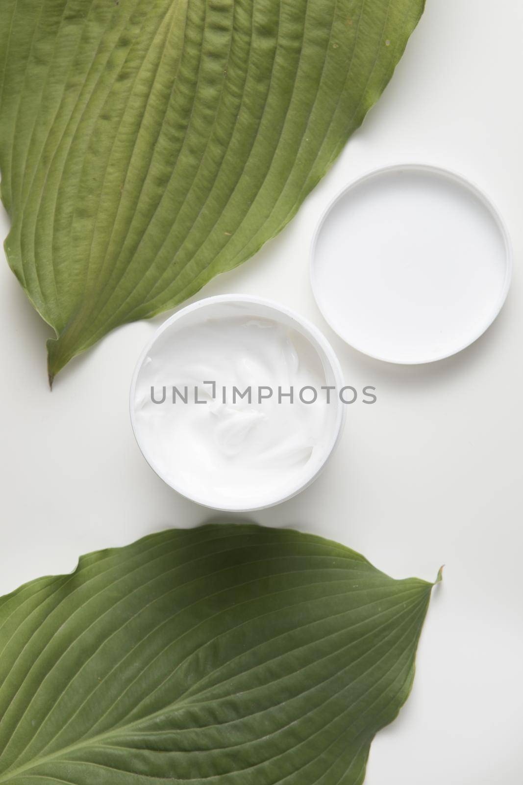 flat lay cream leaves white background by Zahard