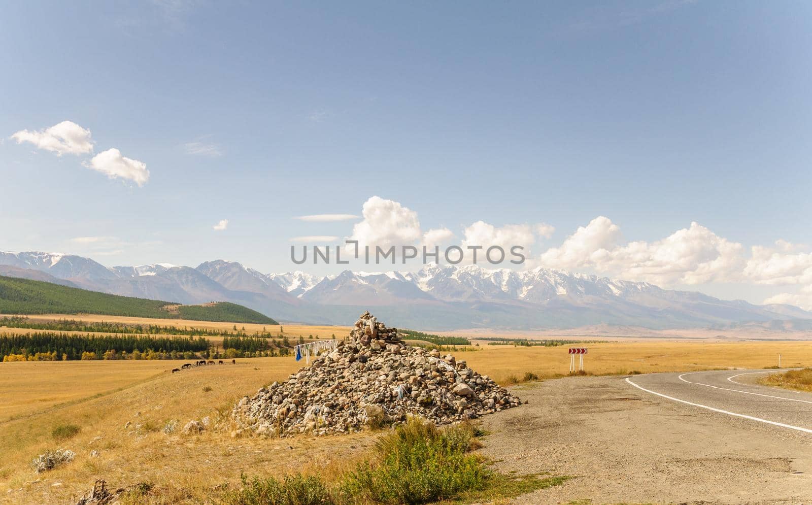 Landscape stepp with dry yellow grass and high mountain range with snow glaciers ice, Altai, Siberia by shanserika