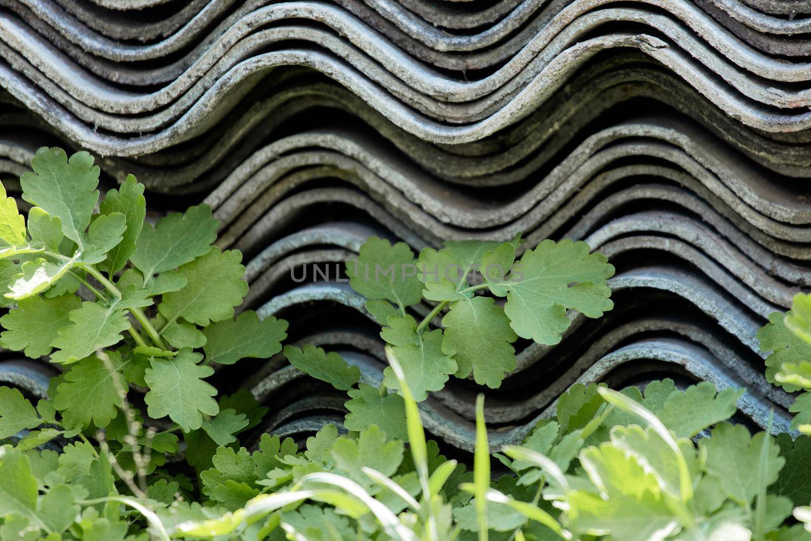 A stack of folded slate sheets that lies in the grass