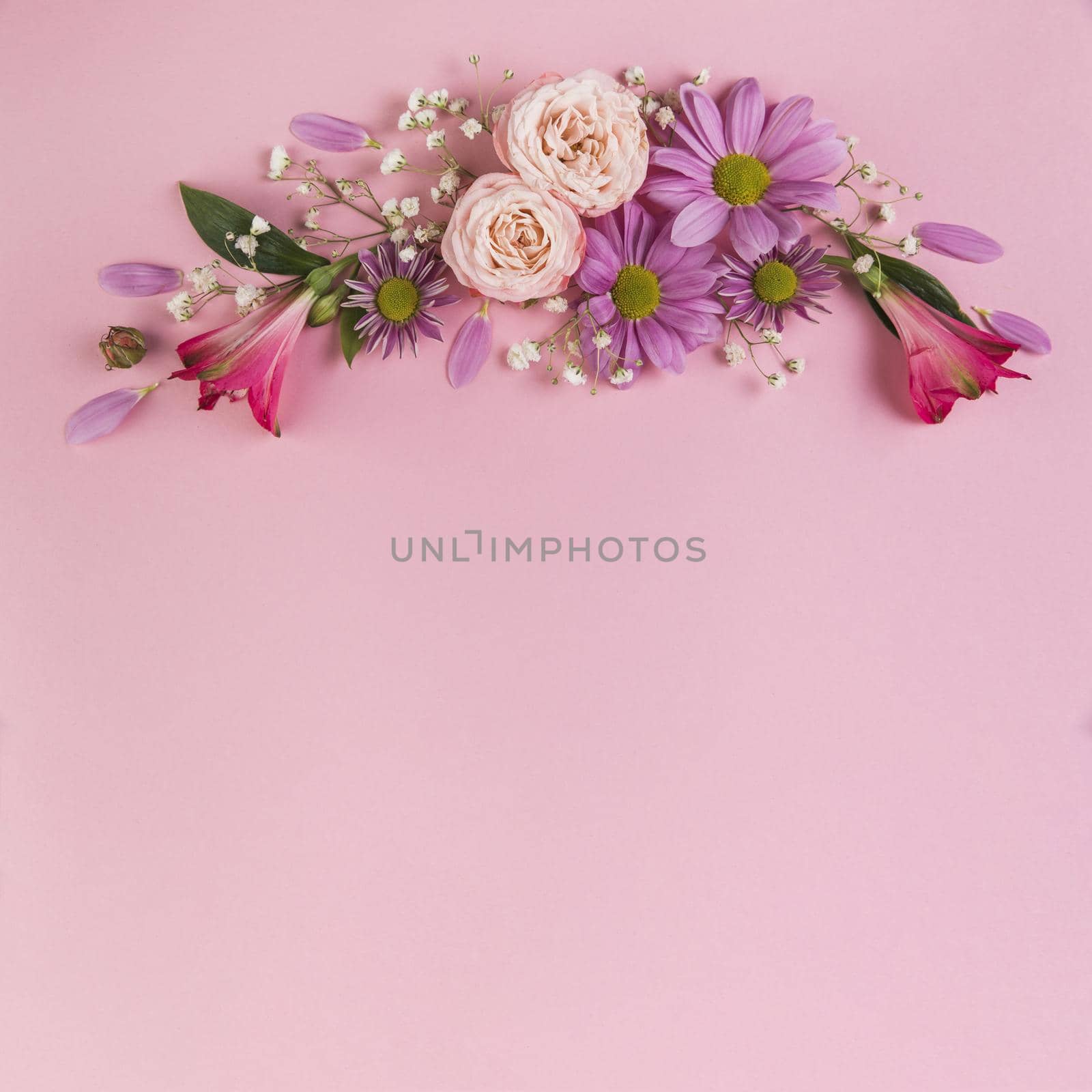 flower decoration against pink background by Zahard