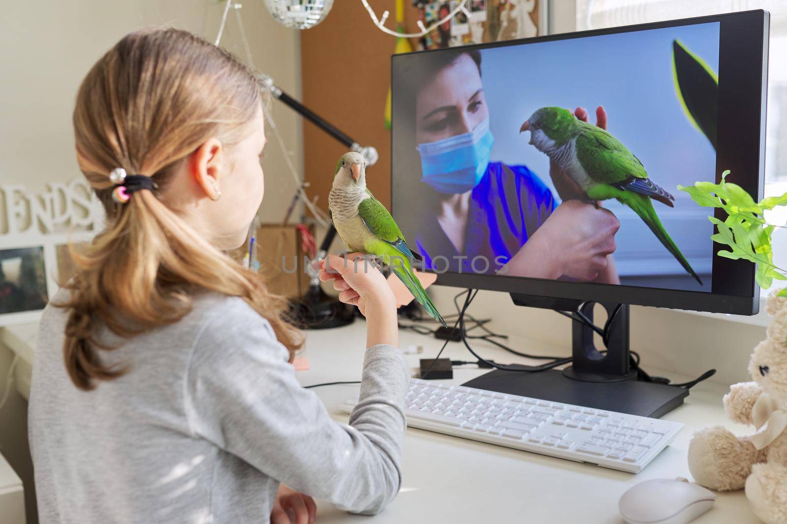 Girl and pet green parrot together at home, child watches video on computer by VH-studio