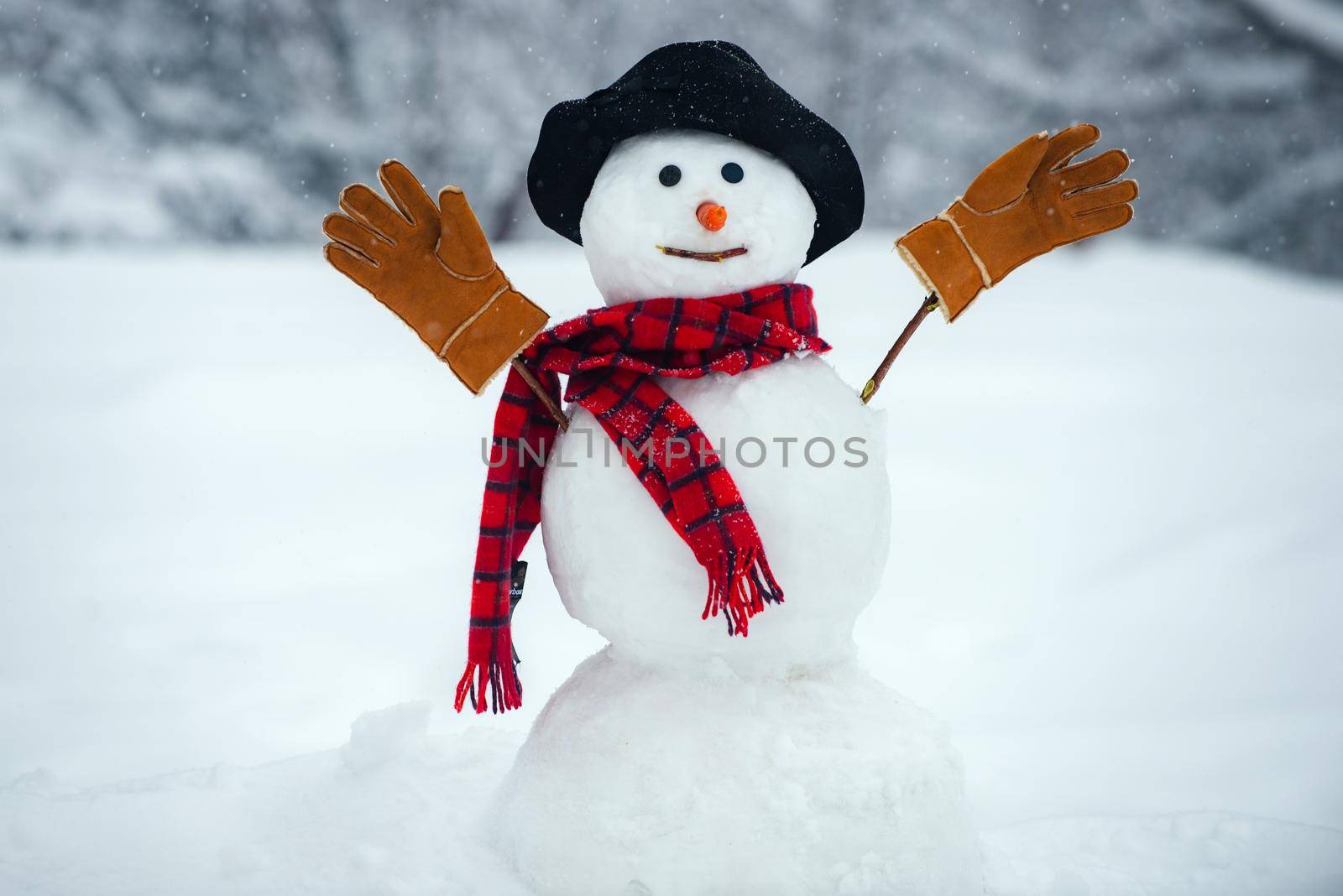 Snowman with hat and scarf in winter outdoor. The snowman is wearing a fur hat and scarf. Christmas background with snowman. by Tverdokhlib