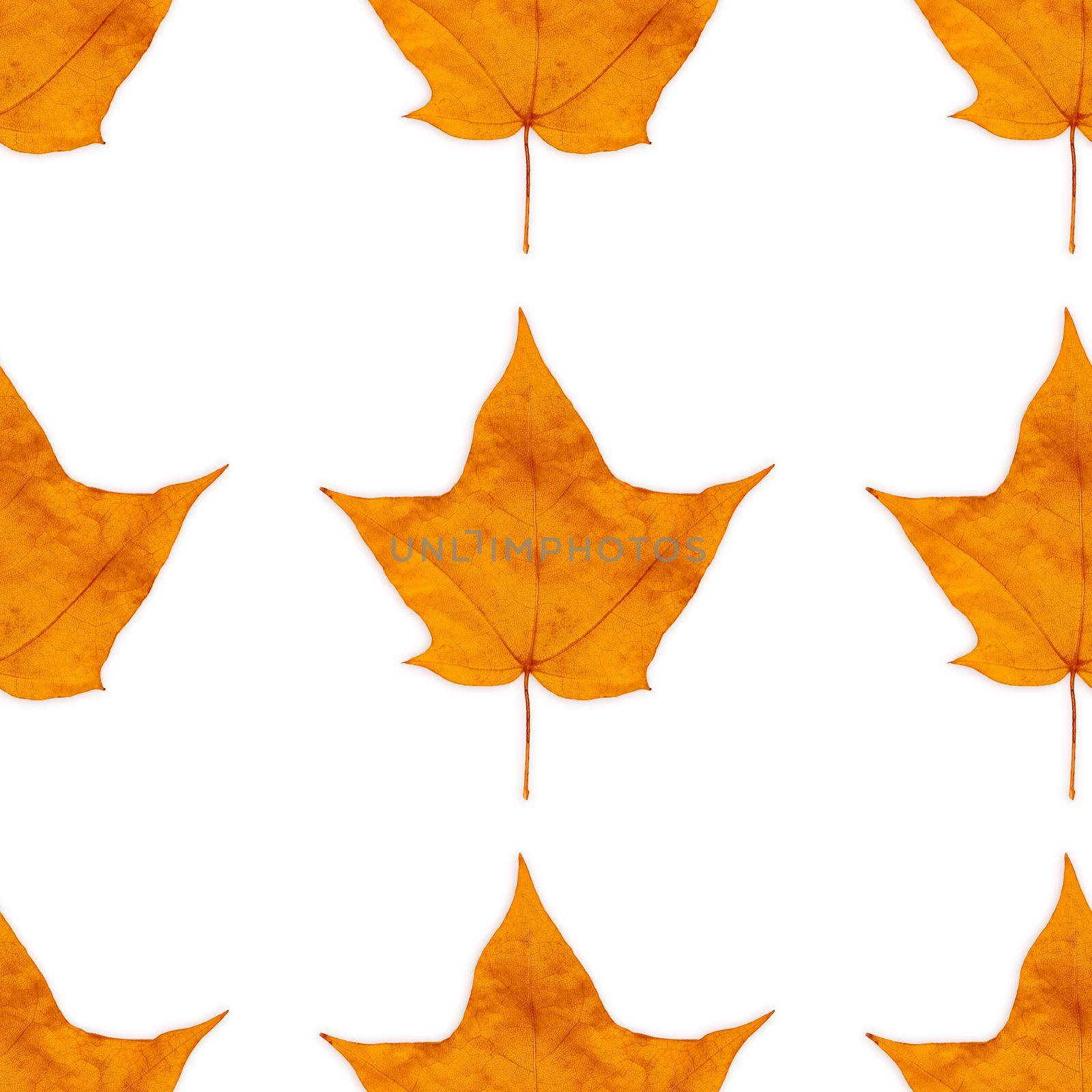 Autumn colorful maple-leaf seamless background pattern texture by lunarts