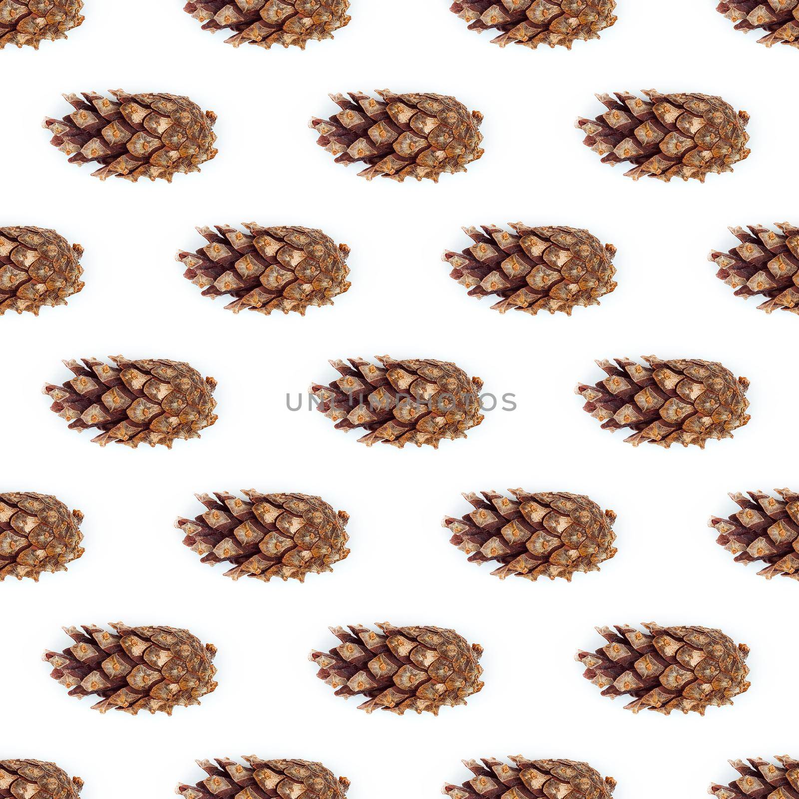 Fir tree cone on a white background abstract seamless pattern. Christmas, decoration, holiday, party, winter, xmas, celebration, conifer, decorative, merry, new.