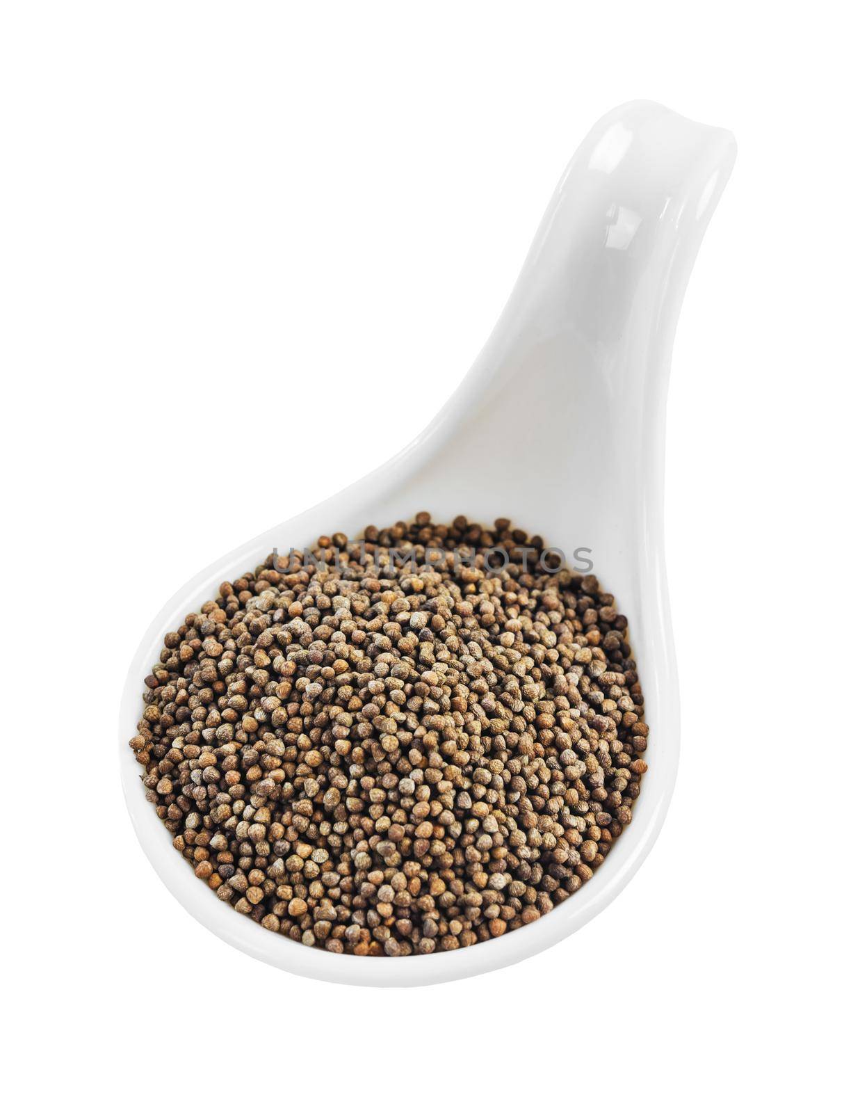 Perilla herb seeds in white spoon isolated on white background, Save clipping path.