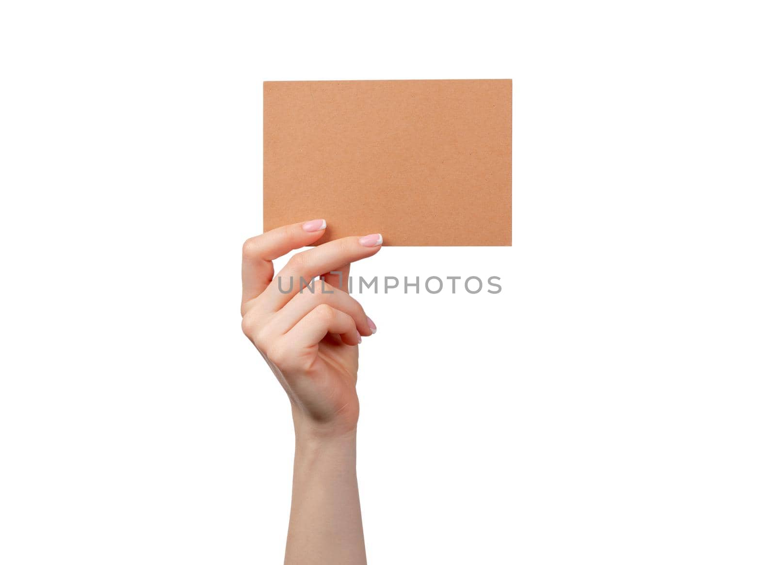 Woman hand hold business blank paper card isolated on white background by Fabrikasimf