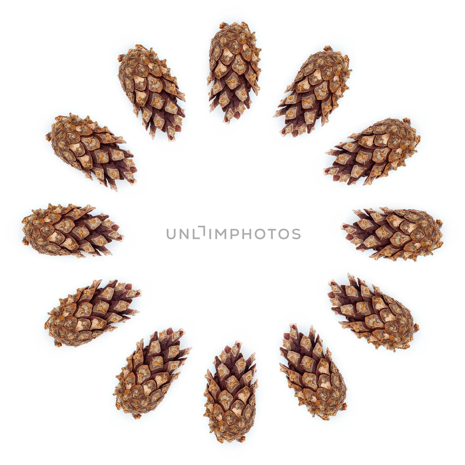 pine cones on white wood table, purity Christmas decoration.