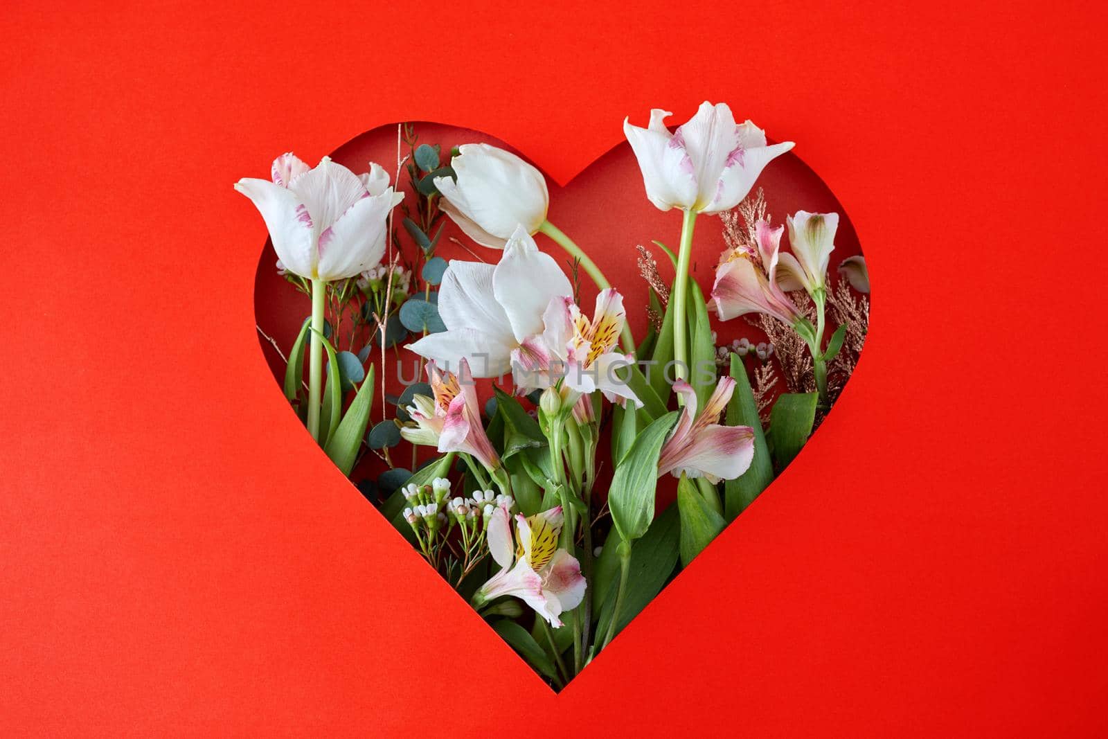 Hole in red paper in shape of heart through which tulips and leaves are visible. Happy valentine's day concept