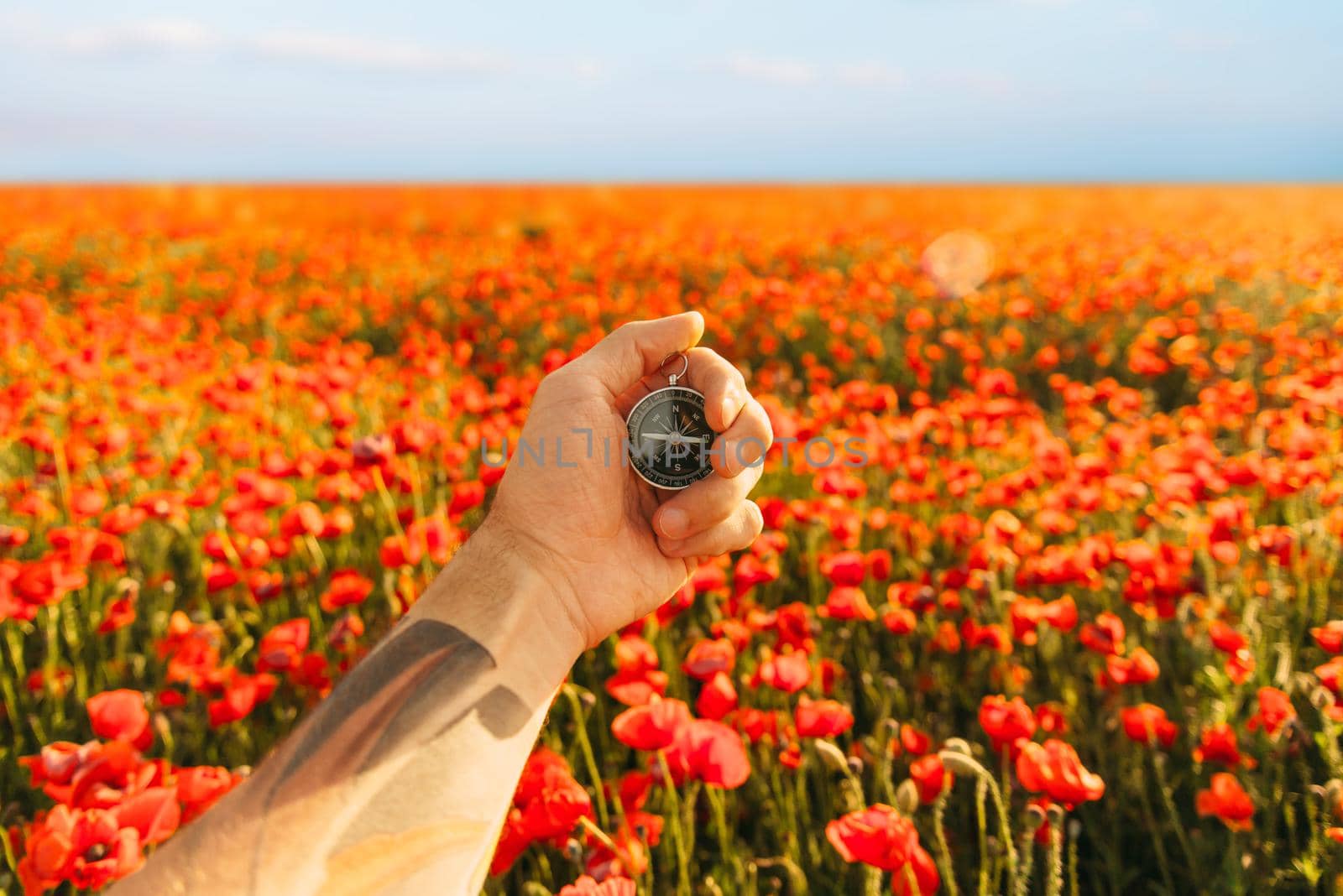 Compass in a hand in flower meadow. by alexAleksei