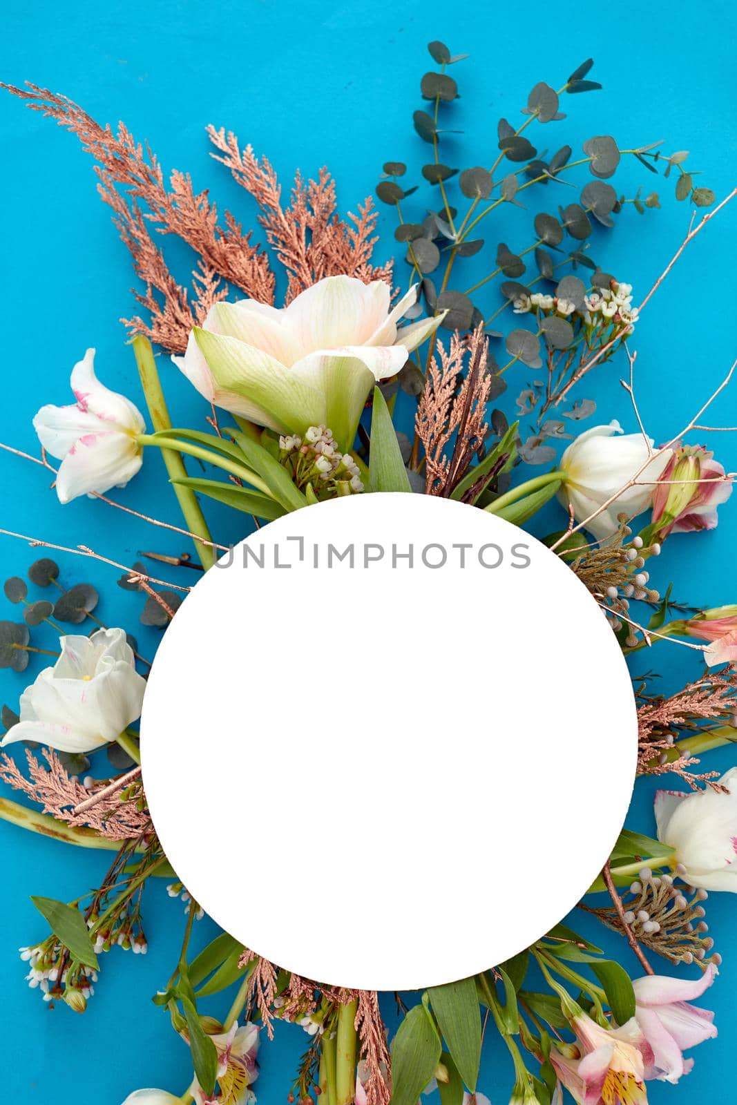From above of bouquet of various plants and flowers arranged on vivid blue background with white blank circle in studio