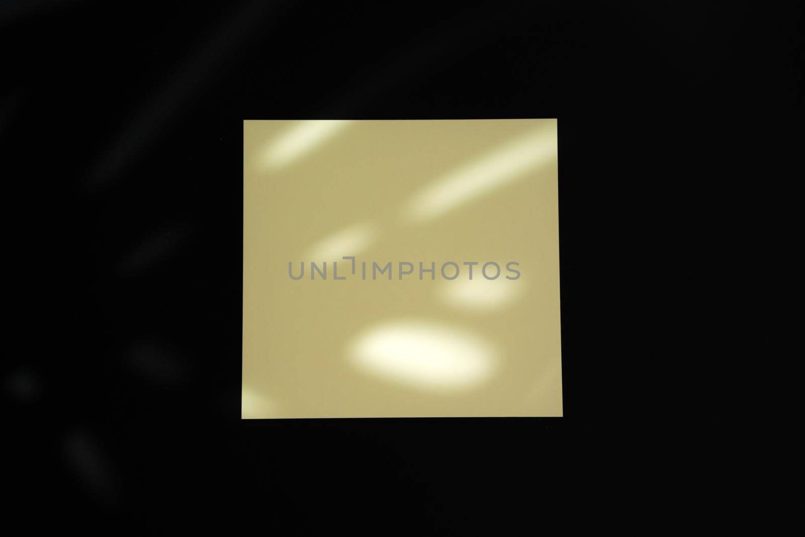 Single businesscard with copy space on black background. Photo with shadow, flat lay