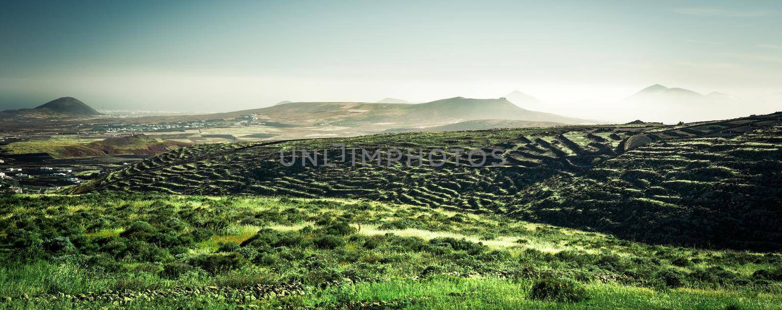 beautiful mountain landscape with green field in Lanzarote, Canary Islands