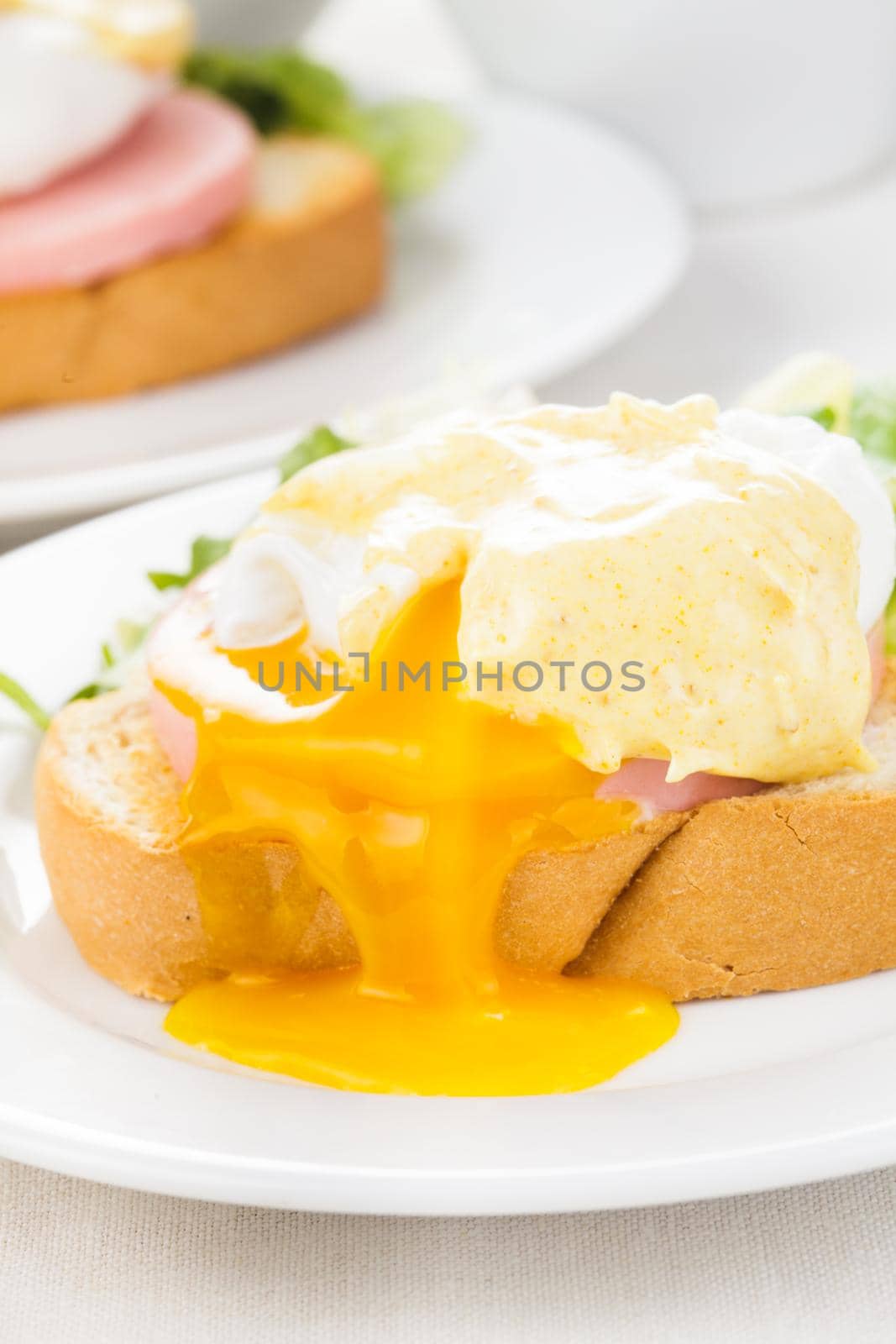 Eggs benedict close up on white plate, serving table