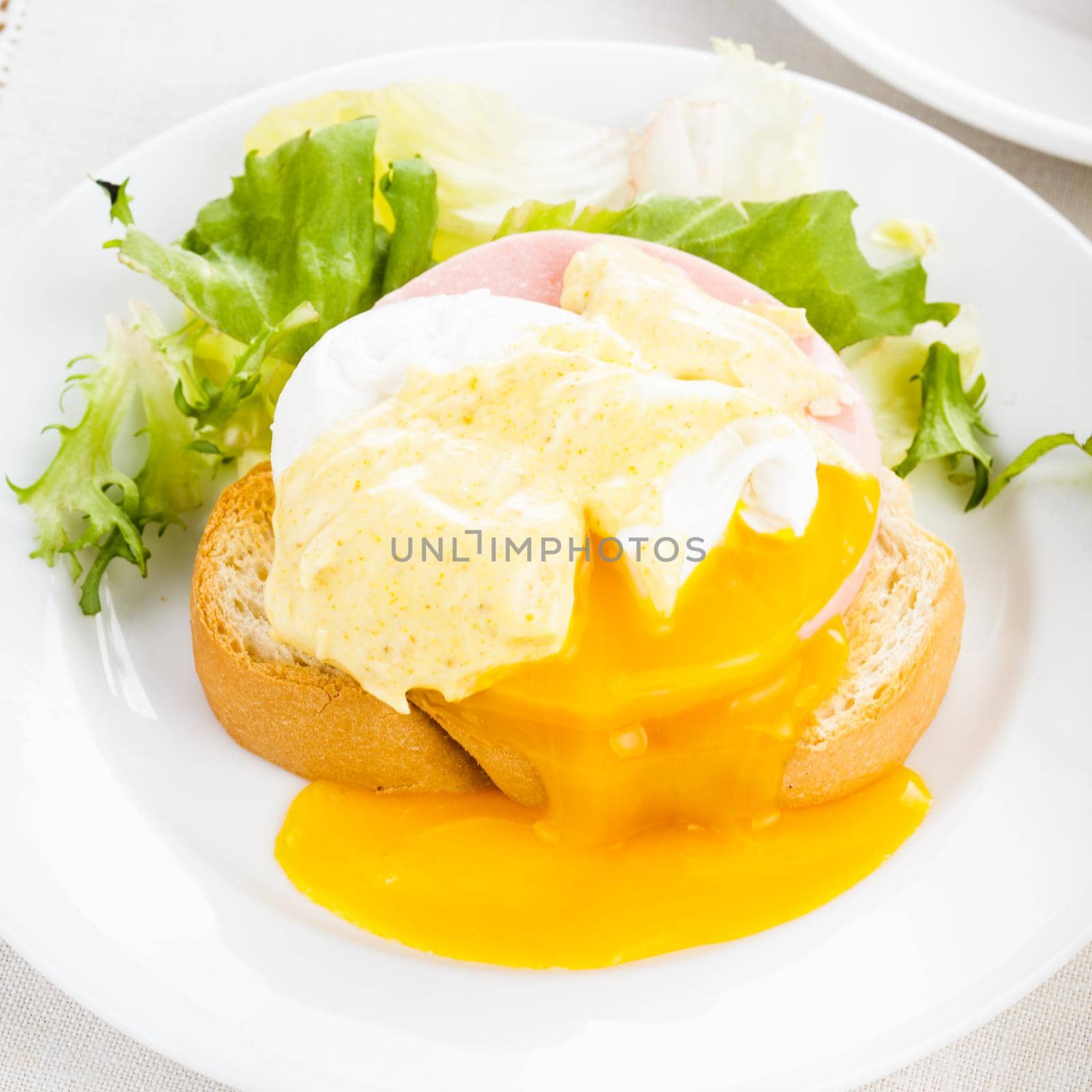 Eggs benedict close up on white plate, serving table