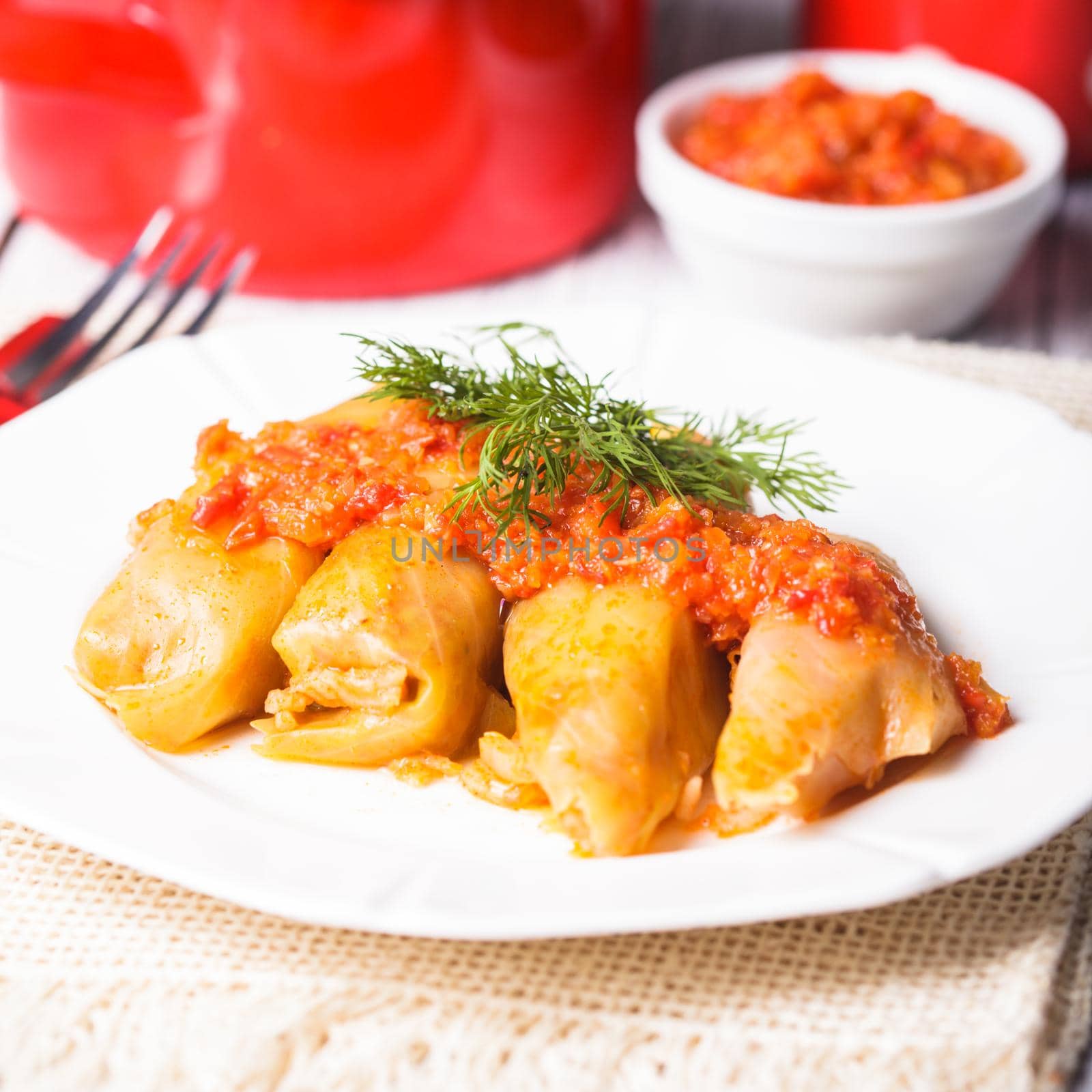 Stuffed cabbage with tomato dip on the plate