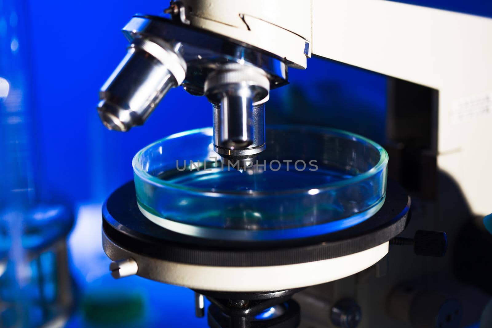 Microscope glass with liquid in petri dish for research, close up view