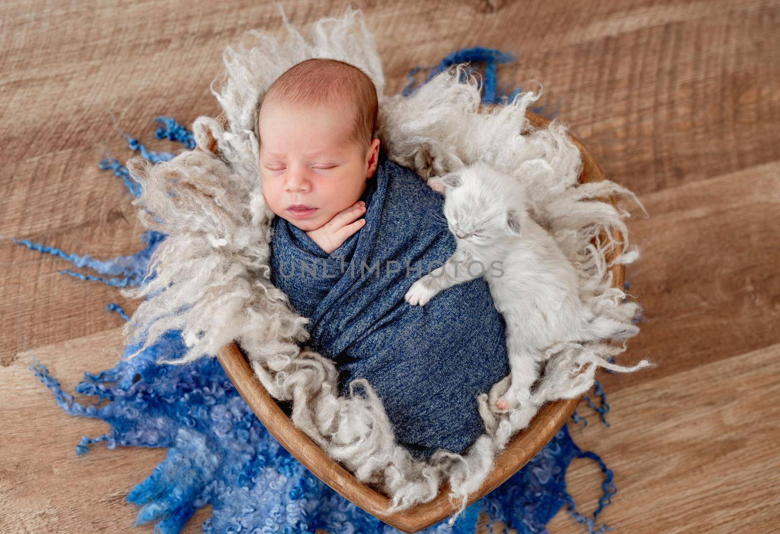 Adorable newborn baby boy swaddled in blue fabric sleeping with little fluffy white kitten hugging him. Cute infant kid napping with cat kity in wooden heart bed during studio photoshoot