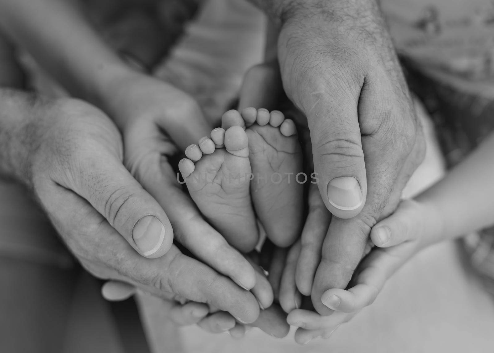 Bare feet of newborn baby surrounded by family members hands, monochrome