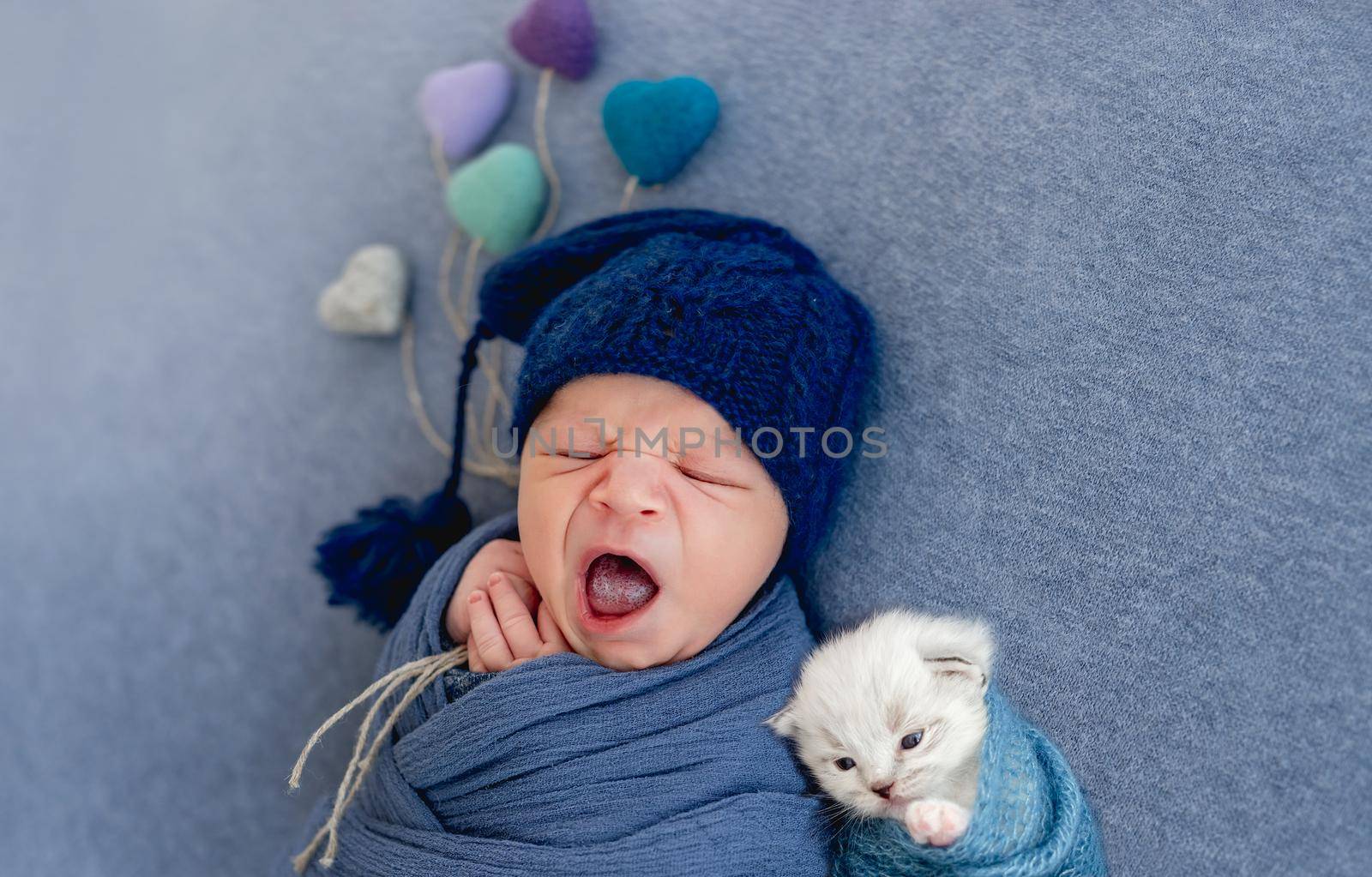 Newborn baby boy swaddled in blue fabric and wearing hat sleeping with small fluffy white kitten and holding knitted toy hearts. Portrait of yawning infant kid with little cat