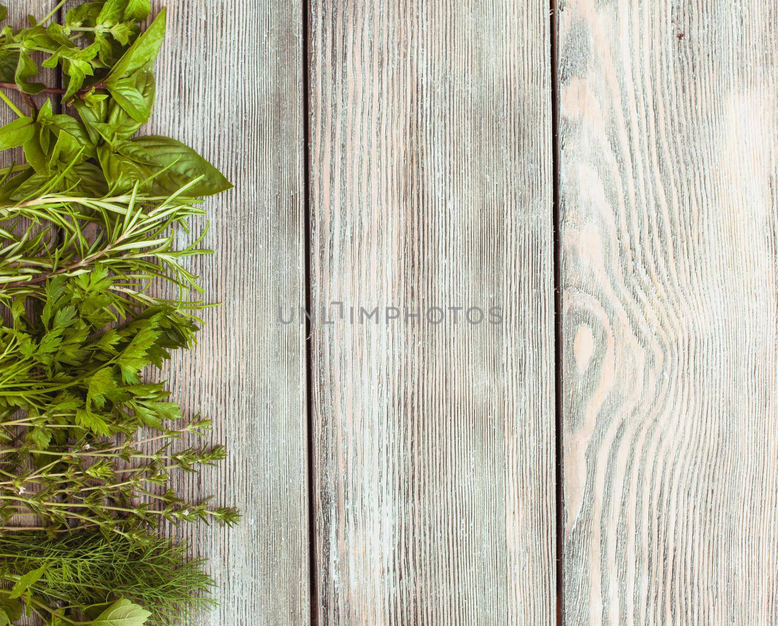 Fresh herbs on the wooden background with copy text