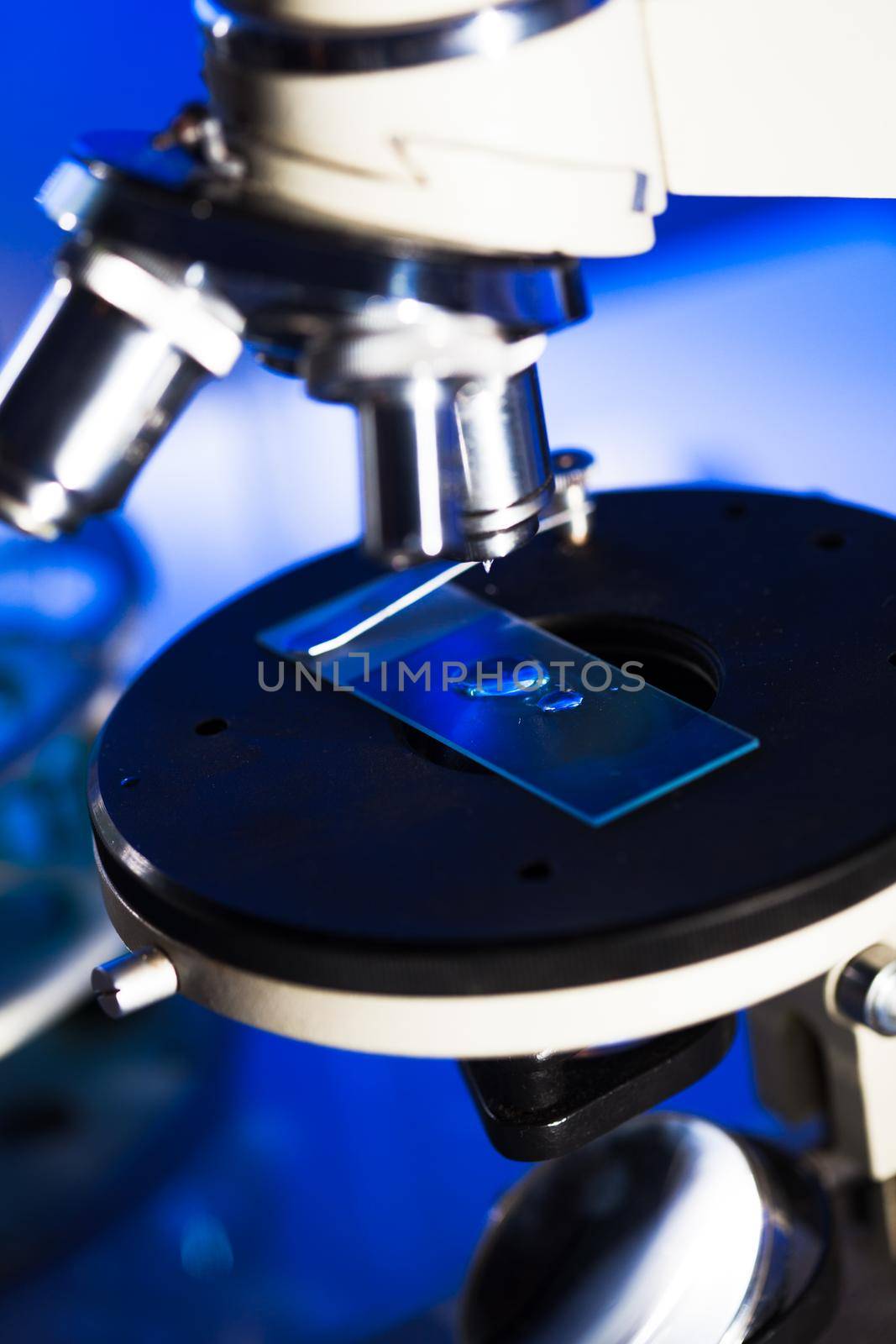 Microscope glass with liquid for research, close up view