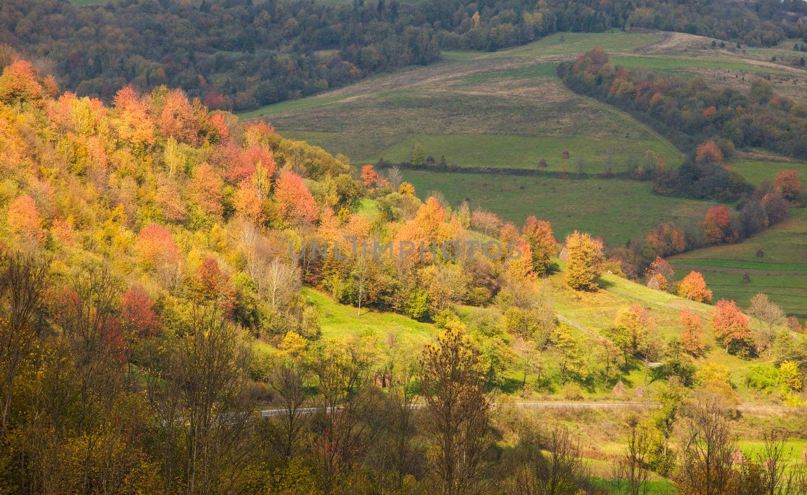 autumnal landscape by oksix