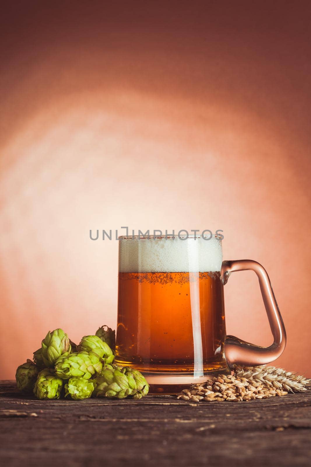 Glass of beer by oksix