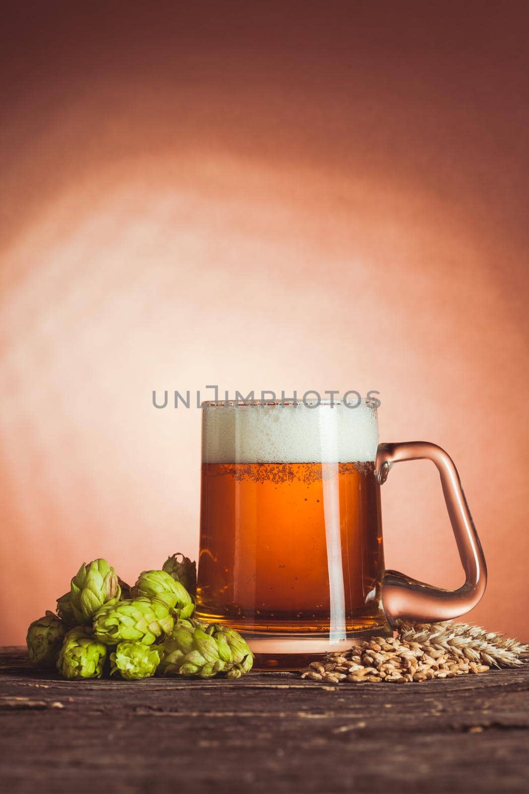 Glass of beer with hops and barley on the wooden table